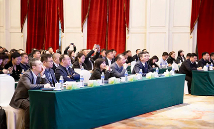 yl23455永利集团官网集团党委&ldquo;书记带项目&rdquo;工作阶段性进展汇报会成功召开